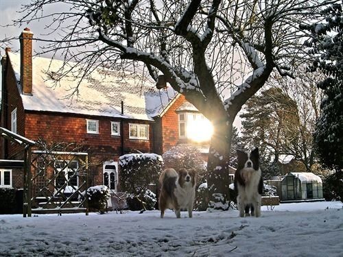 Vulcan Lodge Guest House Horley Dış mekan fotoğraf